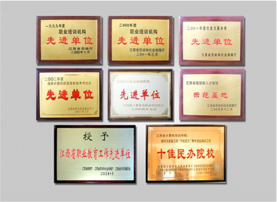 社会力量办学所获荣誉